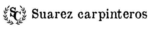 logo100